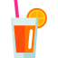 Fruit and Vegetable juice icon 64x64